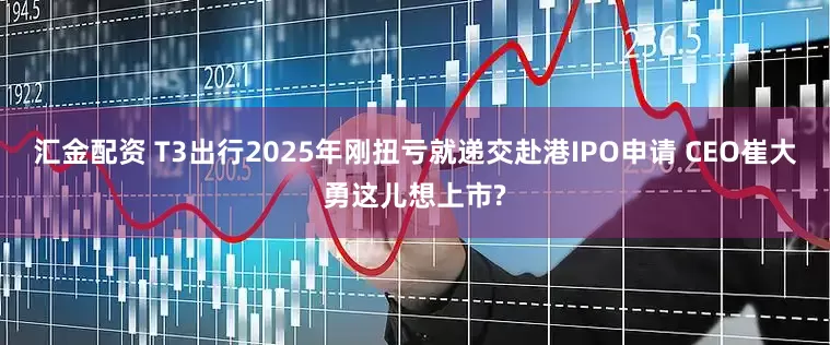汇金配资 T3出行2025年刚扭亏就递交赴港IPO申请 CEO崔大勇这儿想上市?